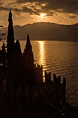 Fra gli Ulivi del Garda - Malcesine